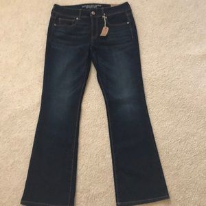 AMERICAN EAGLE JEANS (12)